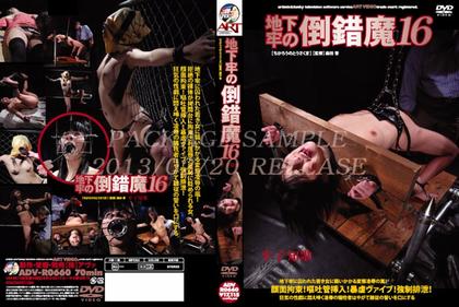 ADV-R0660 Perversion To 16 Dungeon