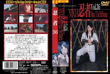 TNI-36 Ninja Vol.36